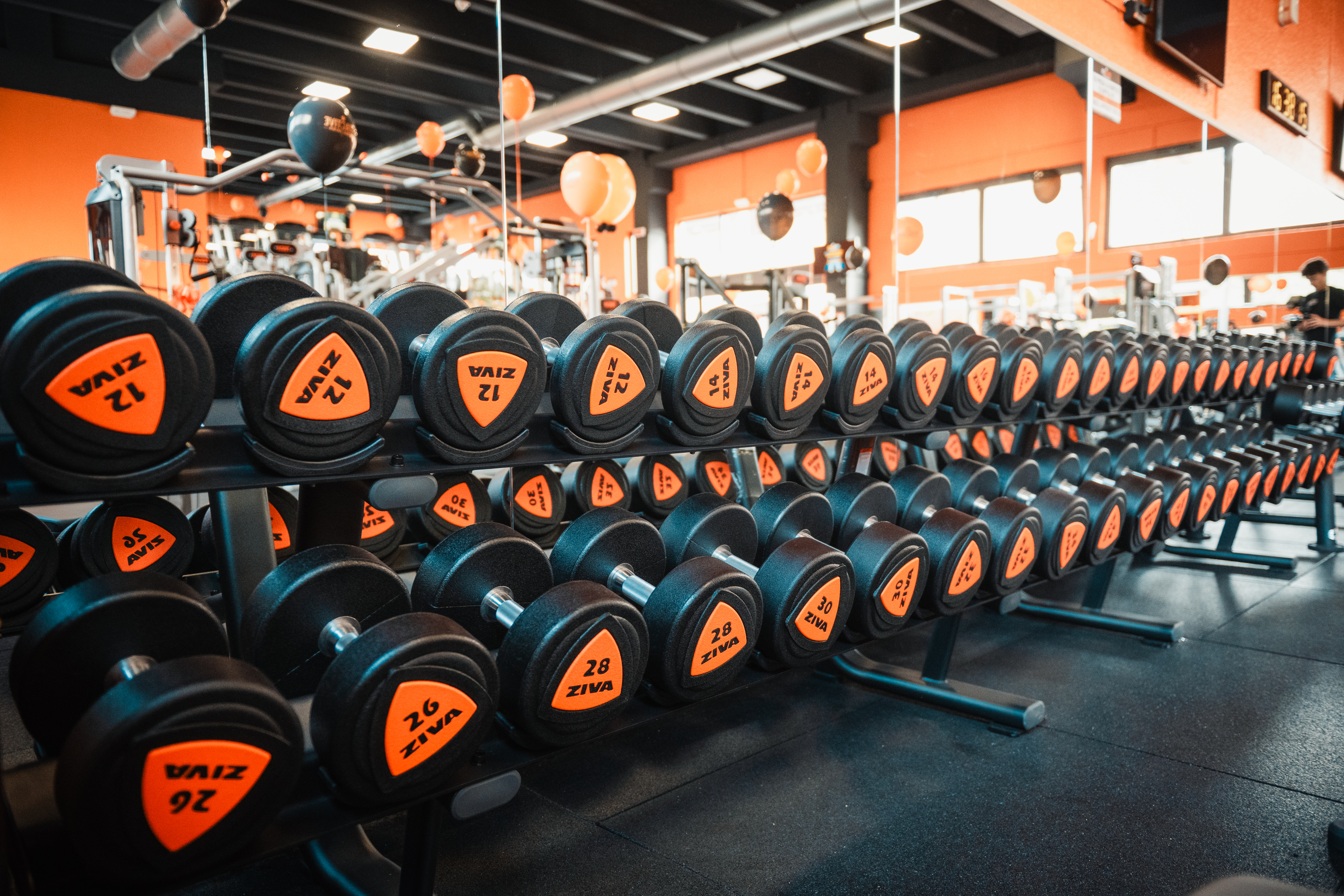 FitActive Giussano